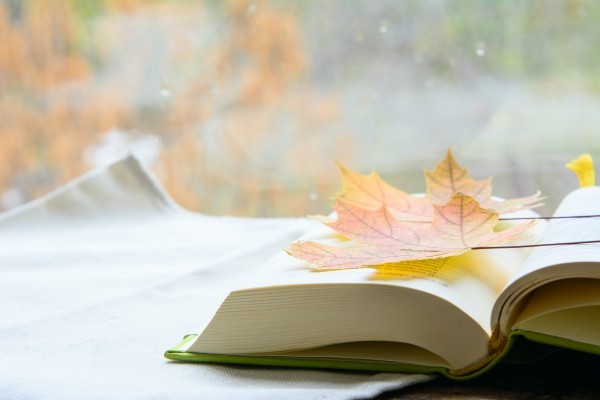 一本打开的书躺在一条白毛巾上. 书上有秋天的枫叶. 概念教育、秋季考试.jpg
